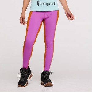 Cotopaxi Verso Hike Tight Mezcal/Foxglove | ZE96-S9-EG