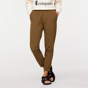 Cotopaxi Veza Adventure Jogger Oak | TR72-J2-SE