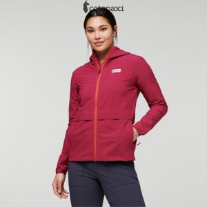 Cotopaxi Viento Travel Jacket Raspberry | CX47-N7-NC