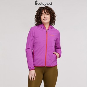 Cotopaxi Vuelta Performance Windbreaker Jacket Foxglove | KG18-L5-HA