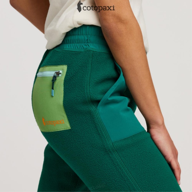 Cotopaxi Abrazo Fleece Jogger Greenery | KM00-V2-AO