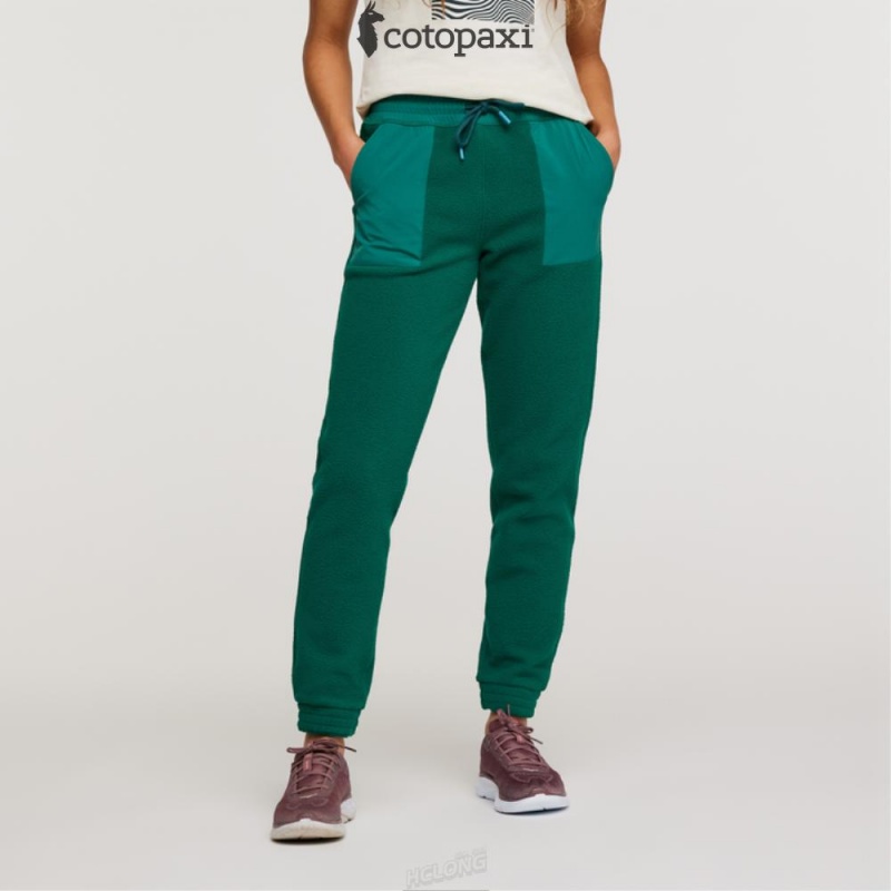 Cotopaxi Abrazo Fleece Jogger Greenery | KM00-V2-AO