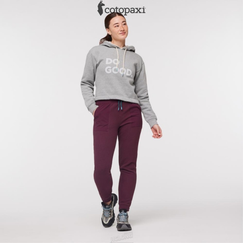 Cotopaxi Abrazo Fleece Jogger Wine | CL94-C9-NU