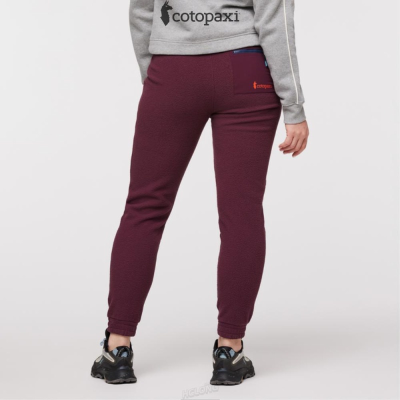 Cotopaxi Abrazo Fleece Jogger Wine | CL94-C9-NU