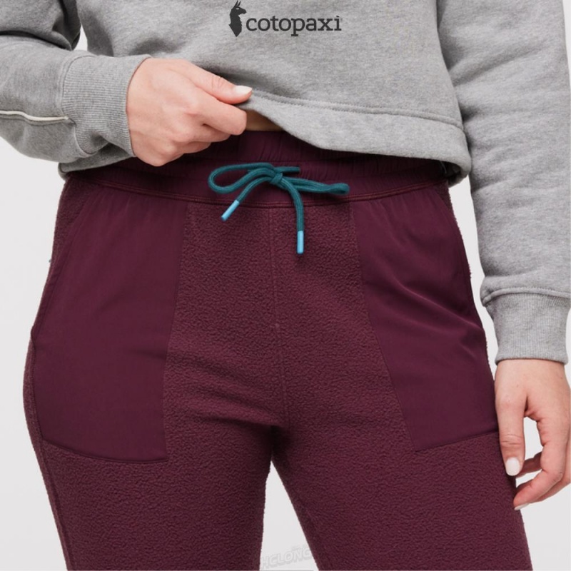 Cotopaxi Abrazo Fleece Jogger Wine | CL94-C9-NU