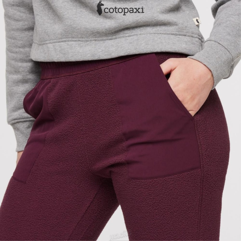 Cotopaxi Abrazo Fleece Jogger Wine | CL94-C9-NU