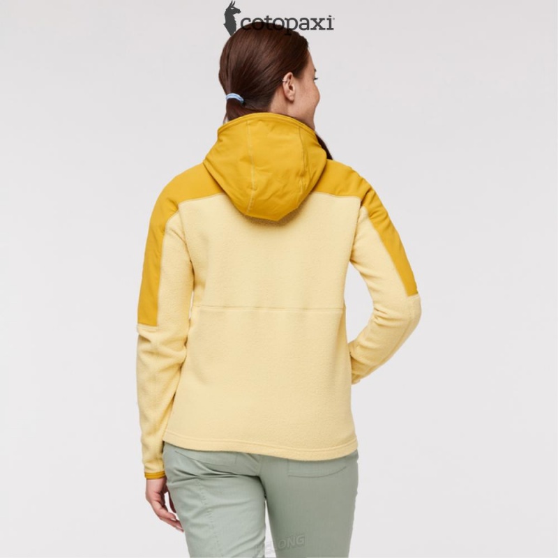 Cotopaxi Abrazo Hooded Full-Zip Fleece Jacket Amber/Wheat | ZE54-Y0-SI