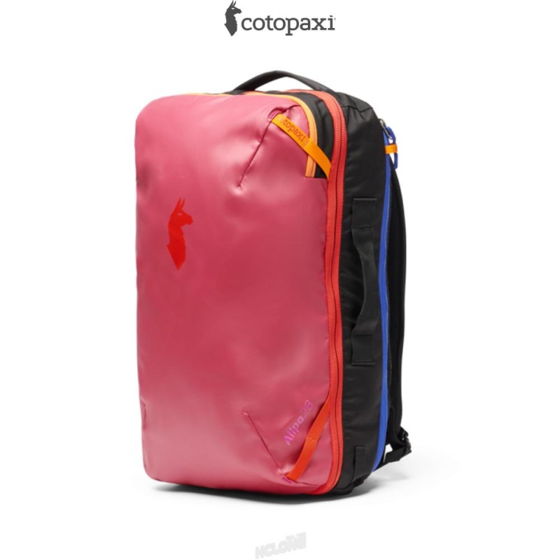 Cotopaxi Allpa 28L Travel Pack Raspberry | UZ41-T8-ID