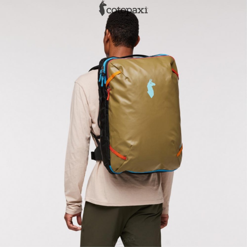 Cotopaxi Allpa 42L Travel Pack Oak | QU14-P6-DP