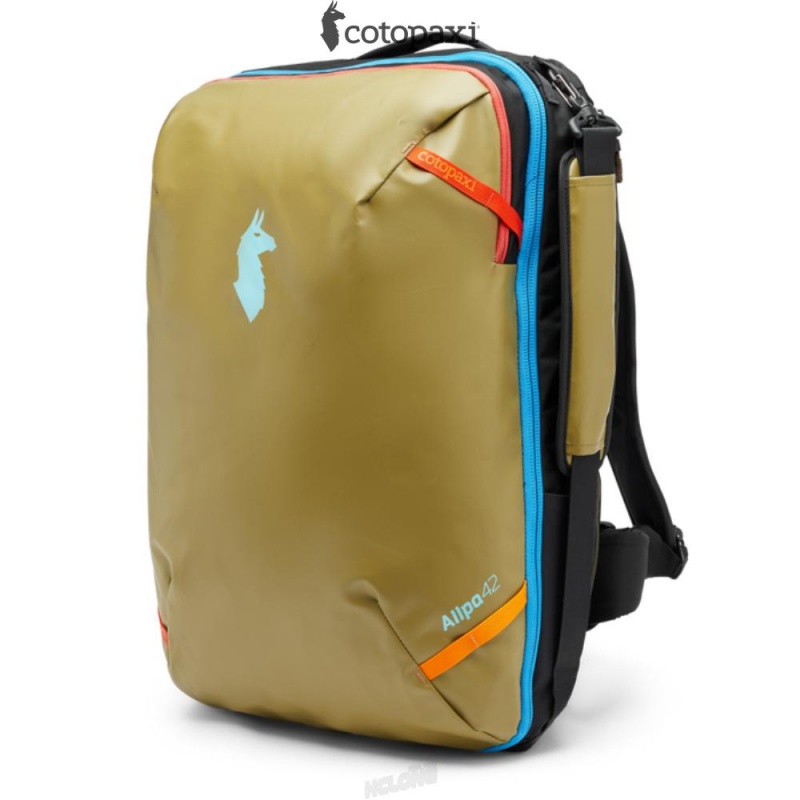 Cotopaxi Allpa 42L Travel Pack Oak | QU14-P6-DP