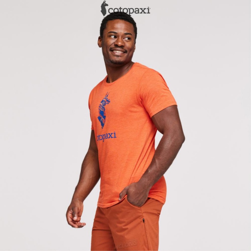 Cotopaxi Altitude Llama T-Shirt Canyon | HL14-V6-XZ