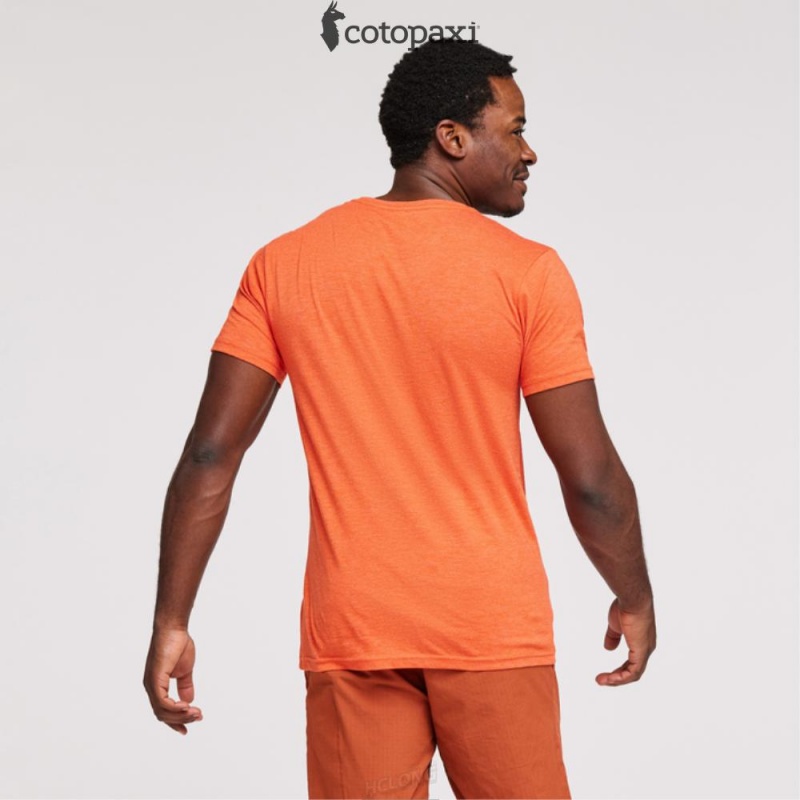 Cotopaxi Altitude Llama T-Shirt Canyon | HL14-V6-XZ