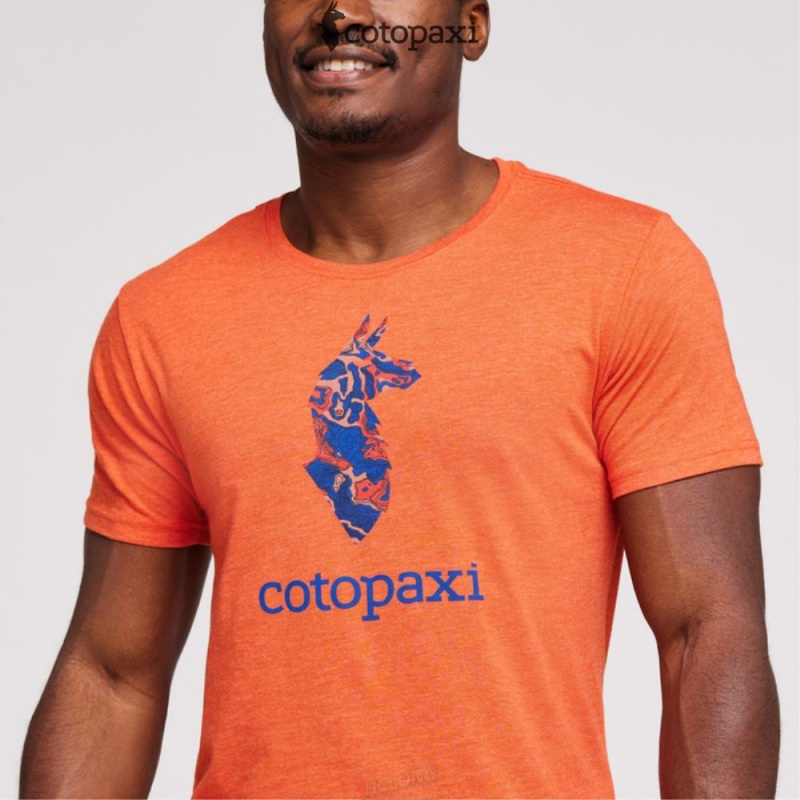 Cotopaxi Altitude Llama T-Shirt Canyon | HL14-V6-XZ