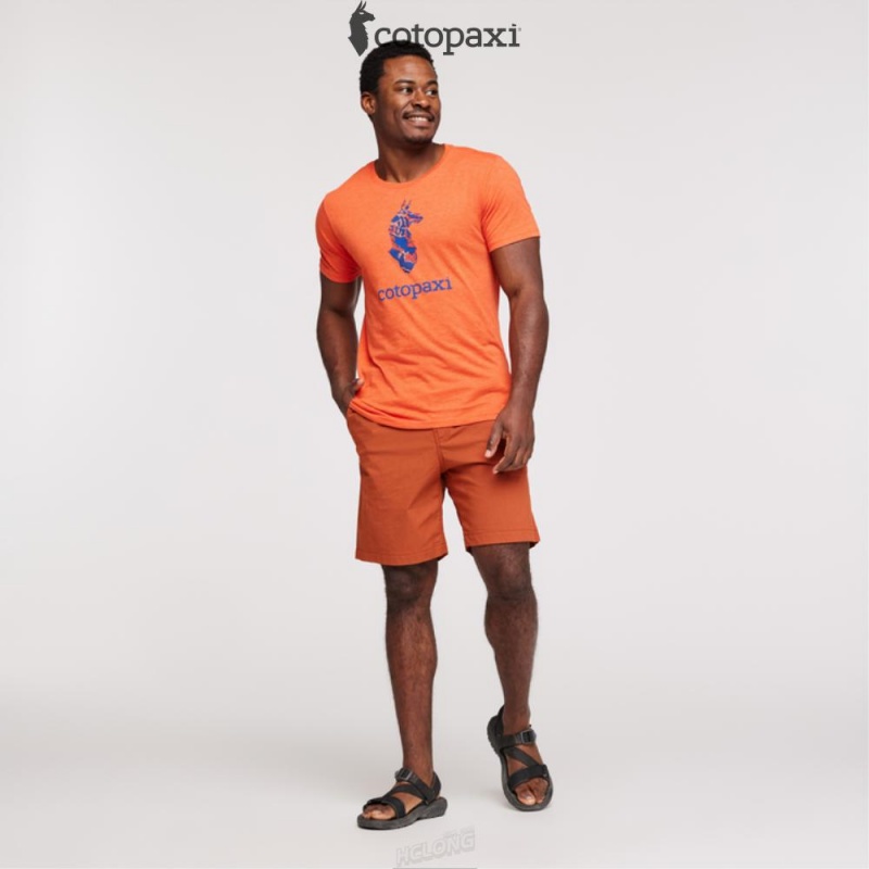 Cotopaxi Altitude Llama T-Shirt Canyon | JG83-G0-ZL