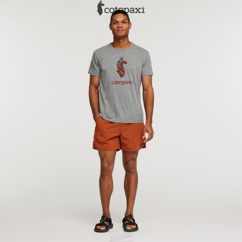 Cotopaxi Altitude Llama T-Shirt Heather Grey | IY48-F3-FM