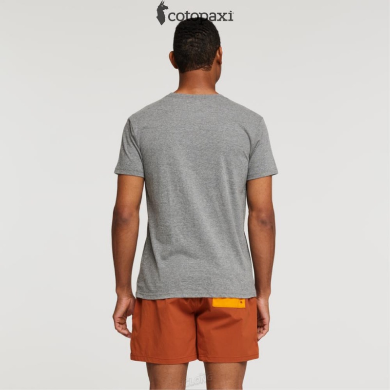 Cotopaxi Altitude Llama T-Shirt Heather Grey | IY48-F3-FM