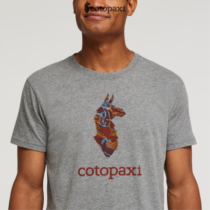 Cotopaxi Altitude Llama T-Shirt Heather Grey | IY48-F3-FM