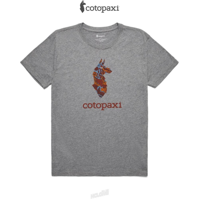 Cotopaxi Altitude Llama T-Shirt Heather Grey | IY48-F3-FM