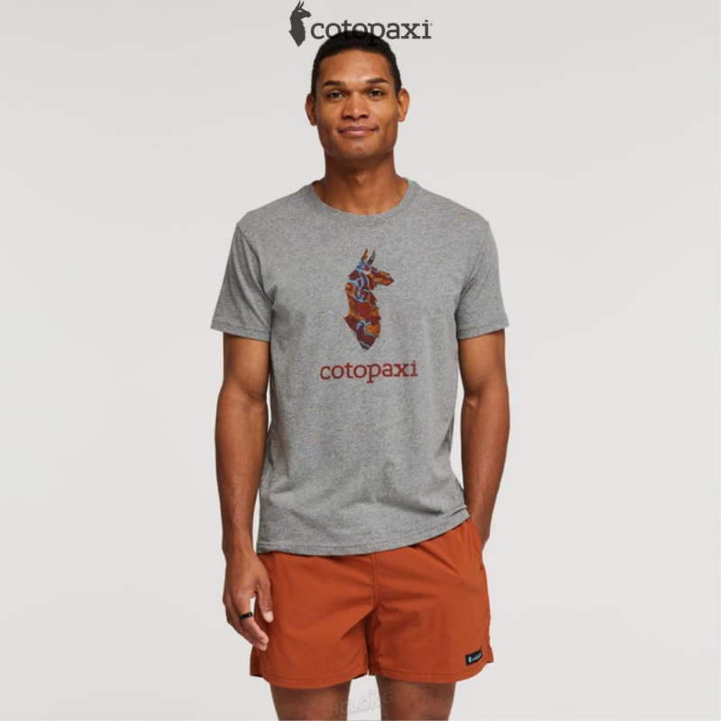 Cotopaxi Altitude Llama T-Shirt Heather Grey | OY42-O3-HM