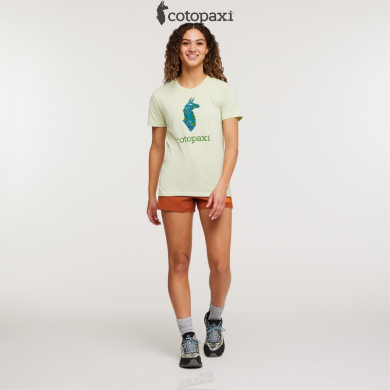 Cotopaxi Altitude Llama T-Shirt Lichen | FG92-P5-WZ