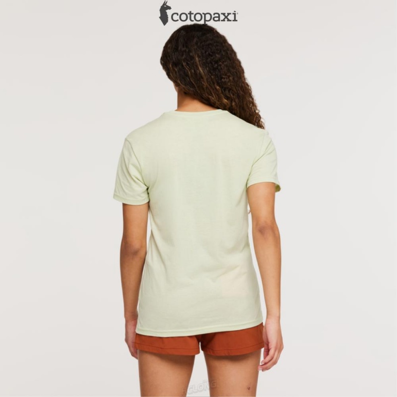 Cotopaxi Altitude Llama T-Shirt Lichen | FG92-P5-WZ