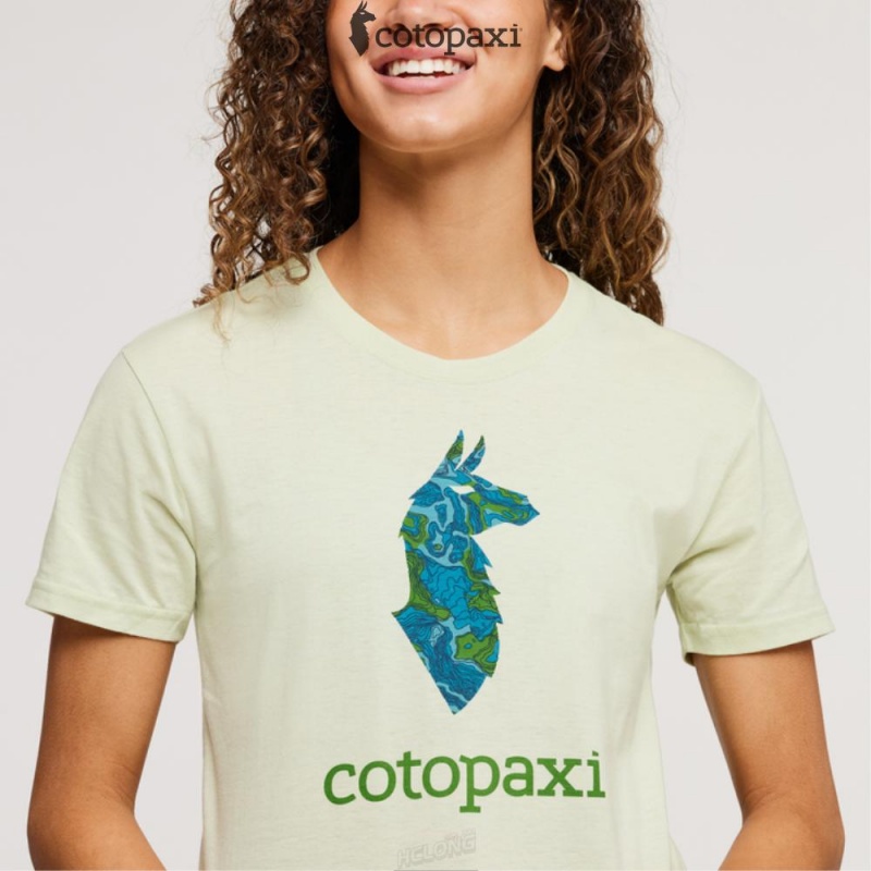 Cotopaxi Altitude Llama T-Shirt Lichen | FG92-P5-WZ