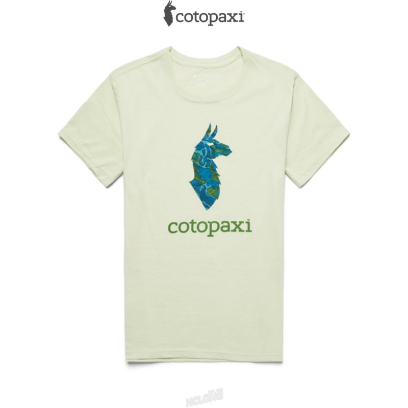 Cotopaxi Altitude Llama T-Shirt Lichen | FG92-P5-WZ