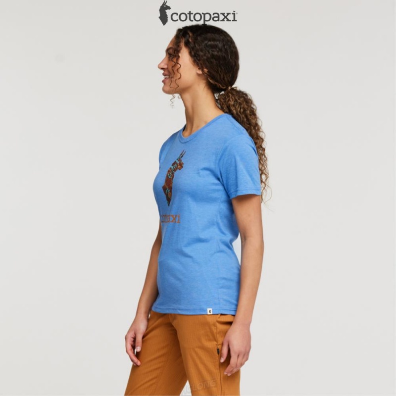 Cotopaxi Altitude Llama T-Shirt Lupine | JM86-L3-XA