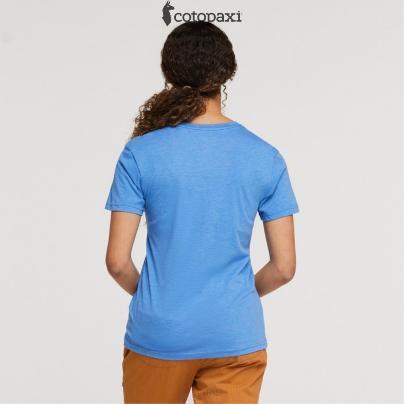 Cotopaxi Altitude Llama T-Shirt Lupine | JM86-L3-XA