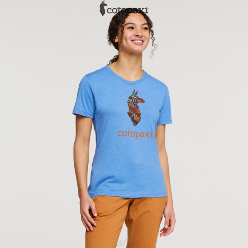 Cotopaxi Altitude Llama T-Shirt Lupine | JM86-L3-XA