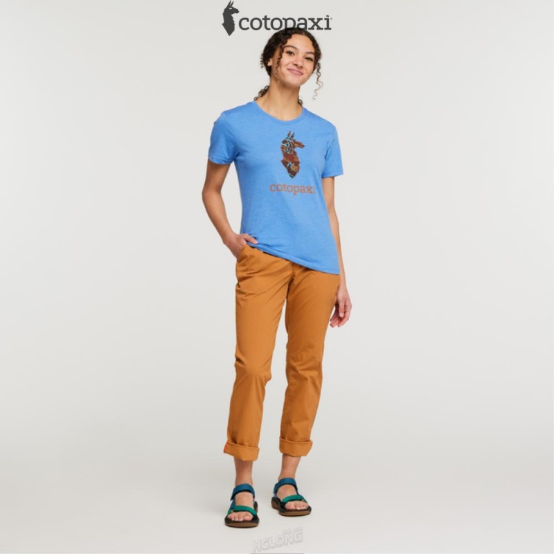 Cotopaxi Altitude Llama T-Shirt Lupine | OO89-C0-IB