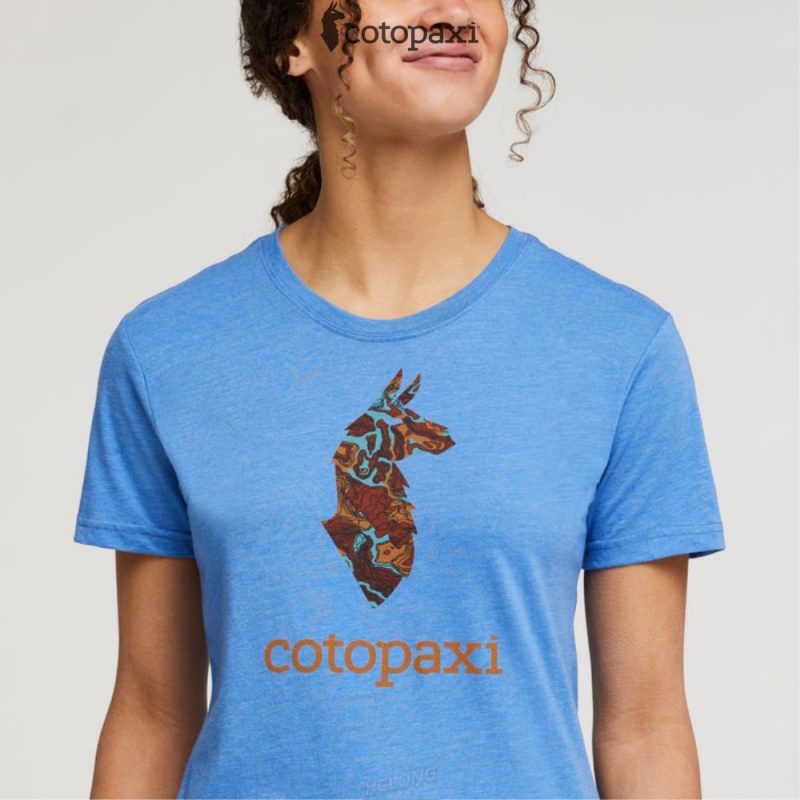 Cotopaxi Altitude Llama T-Shirt Lupine | OO89-C0-IB