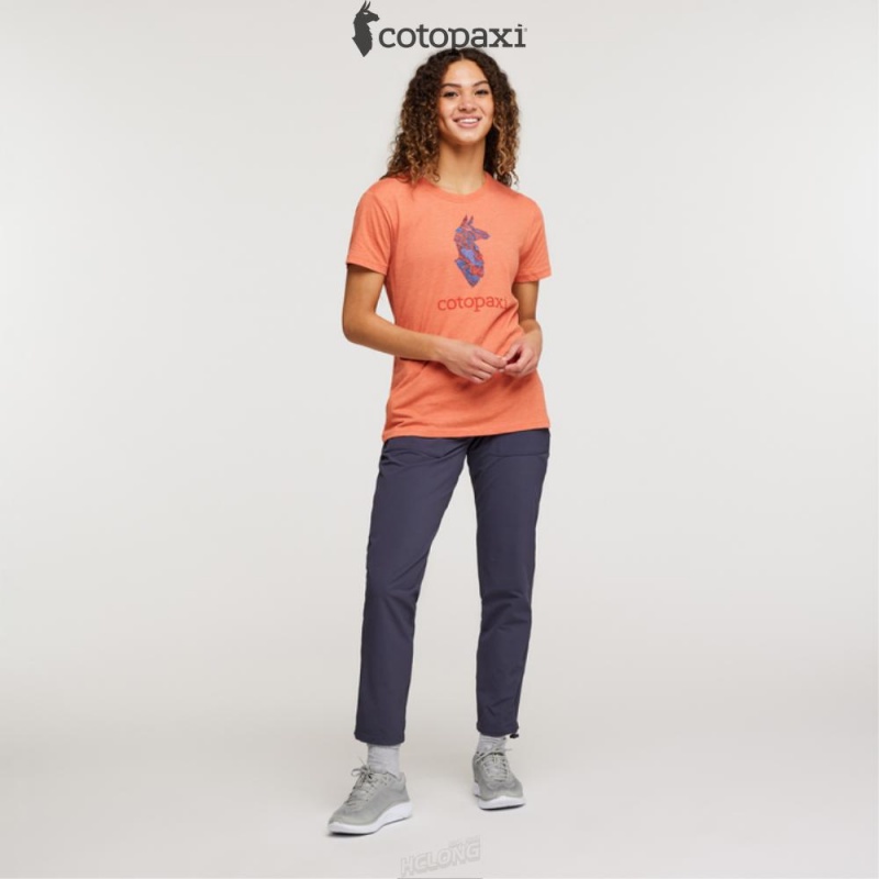 Cotopaxi Altitude Llama T-Shirt Nectar | UE22-X8-OW