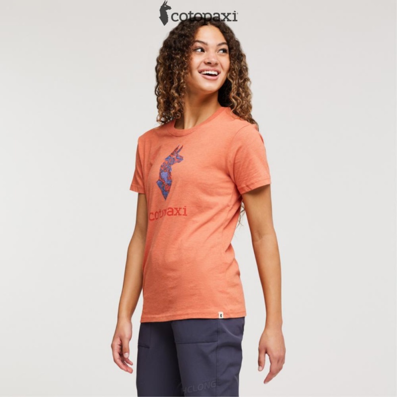 Cotopaxi Altitude Llama T-Shirt Nectar | UE22-X8-OW