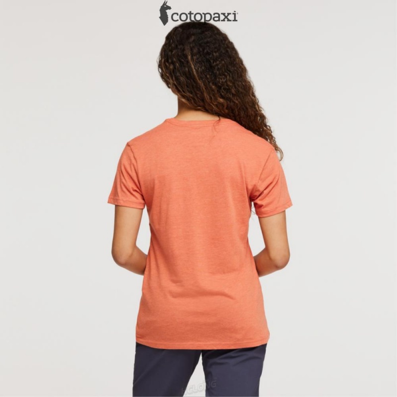 Cotopaxi Altitude Llama T-Shirt Nectar | UE22-X8-OW