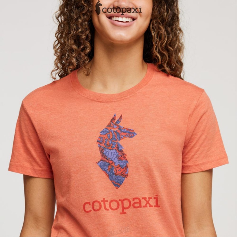 Cotopaxi Altitude Llama T-Shirt Nectar | UE22-X8-OW