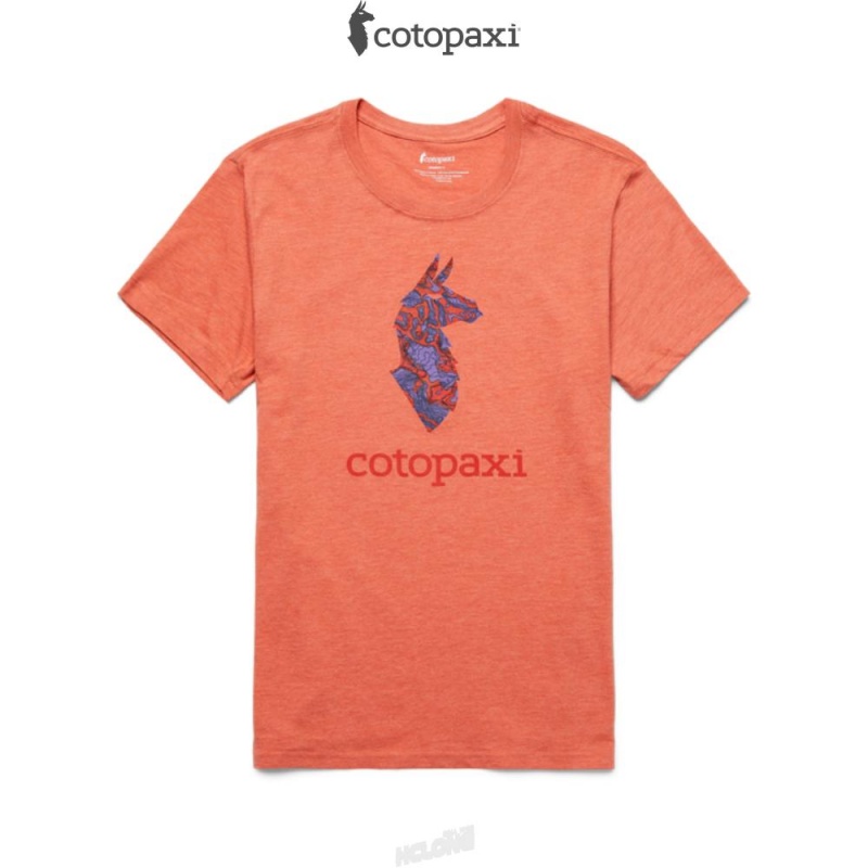 Cotopaxi Altitude Llama T-Shirt Nectar | UE22-X8-OW