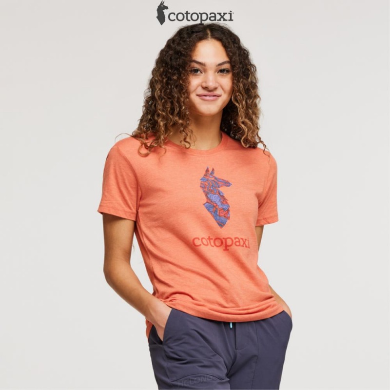 Cotopaxi Altitude Llama T-Shirt Nectar | UE22-X8-OW