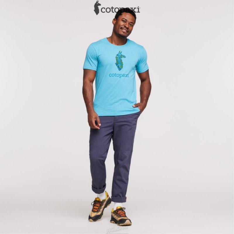 Cotopaxi Altitude Llama T-Shirt Poolside | DH64-X5-TO