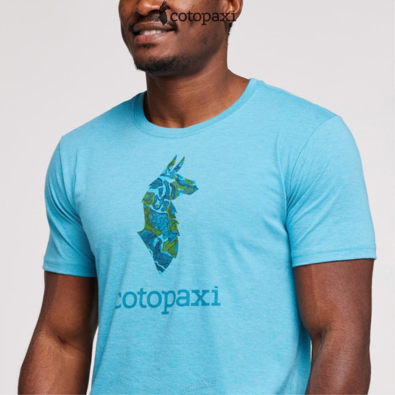 Cotopaxi Altitude Llama T-Shirt Poolside | DH64-X5-TO