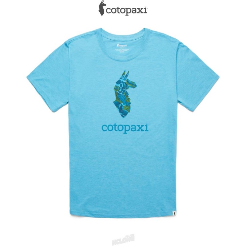 Cotopaxi Altitude Llama T-Shirt Poolside | DH64-X5-TO