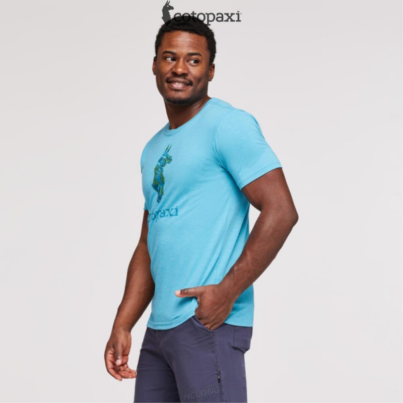 Cotopaxi Altitude Llama T-Shirt Wheat | AE90-I8-BZ