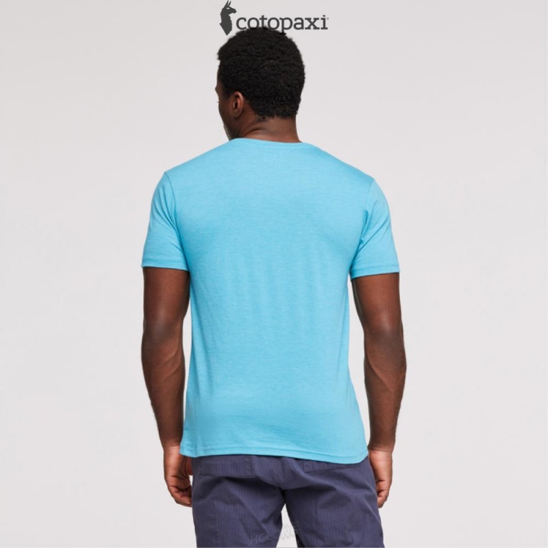 Cotopaxi Altitude Llama T-Shirt Wheat | AE90-I8-BZ