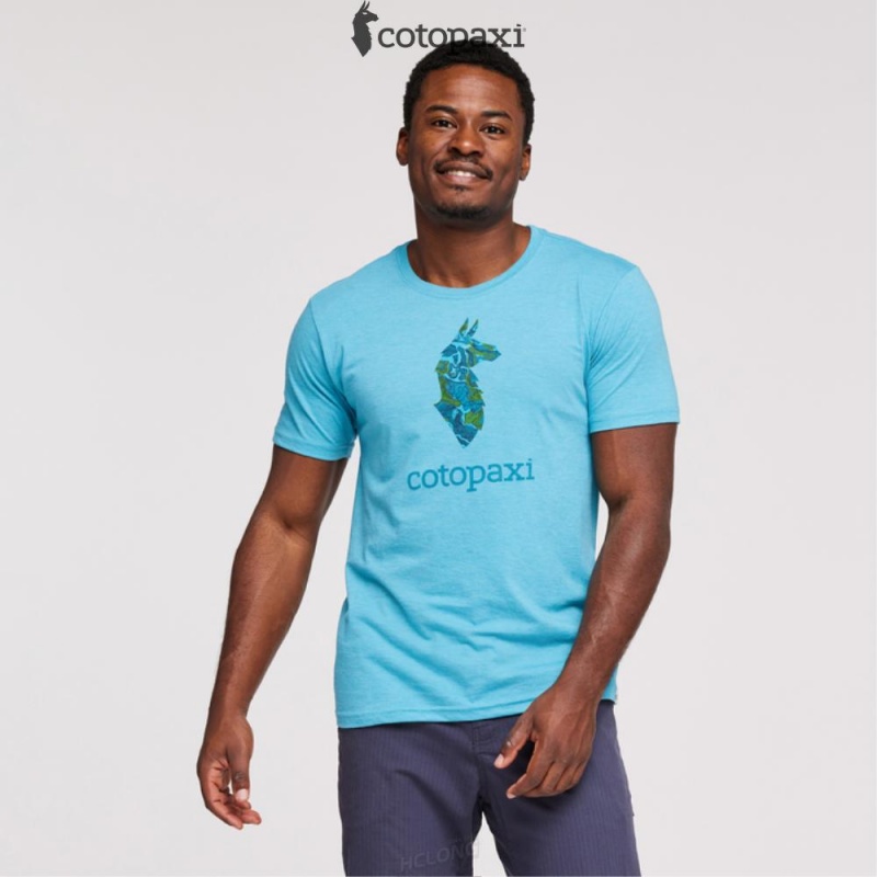 Cotopaxi Altitude Llama T-Shirt Wheat | AE90-I8-BZ