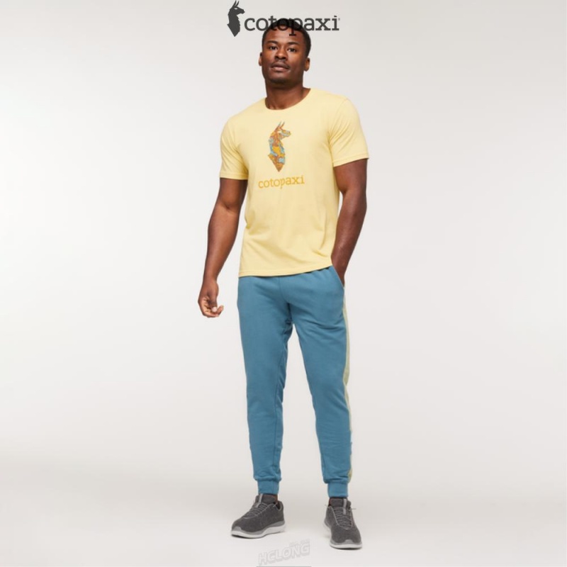 Cotopaxi Altitude Llama T-Shirt Wheat | GG59-P9-WP