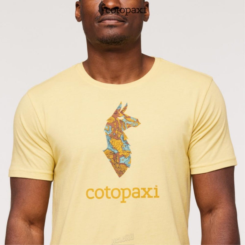 Cotopaxi Altitude Llama T-Shirt Wheat | GG59-P9-WP