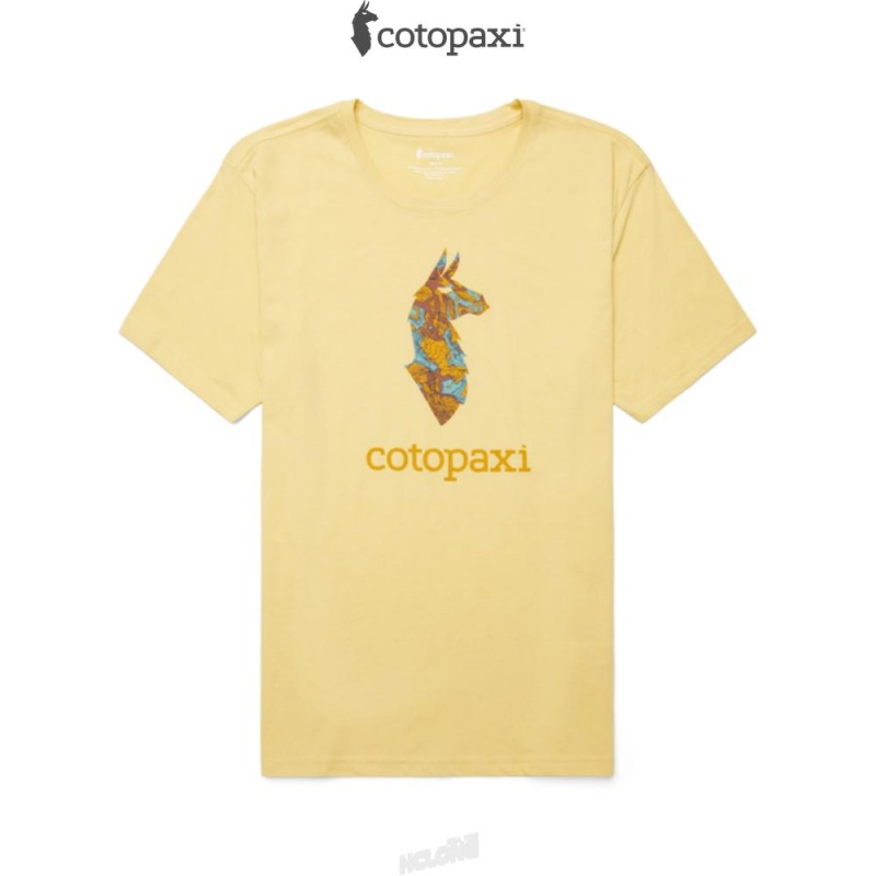 Cotopaxi Altitude Llama T-Shirt Wheat | GG59-P9-WP