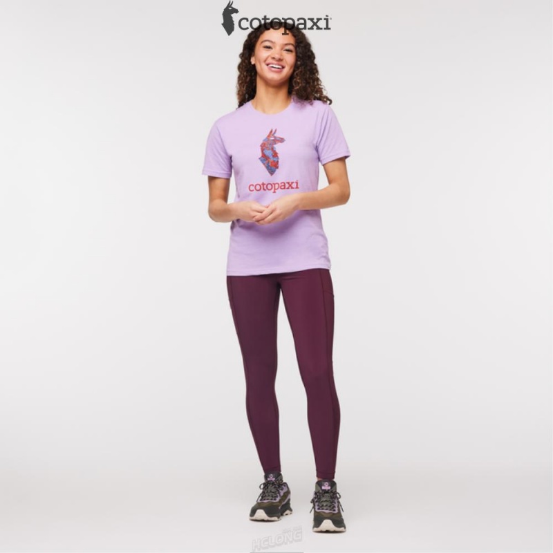 Cotopaxi Altitude Llama T-Shirt Wisteria | CI03-G4-GY