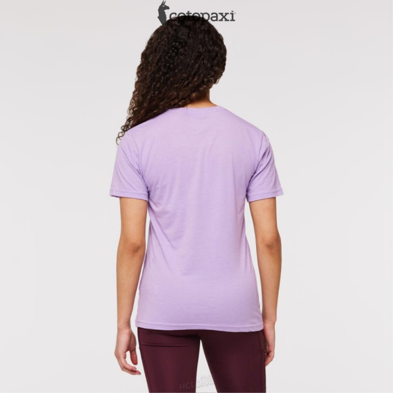 Cotopaxi Altitude Llama T-Shirt Wisteria | CI03-G4-GY