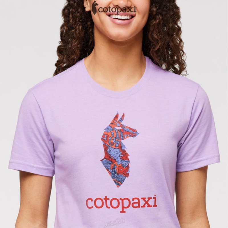 Cotopaxi Altitude Llama T-Shirt Wisteria | CI03-G4-GY